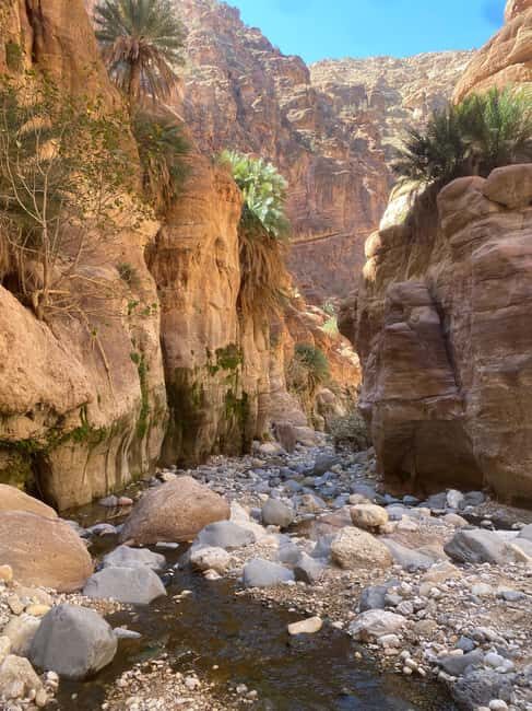 Wadi Ghuweir Full-Day Hike with Local Guide & Lunch. - What Makes Wadi Ghuweir a Special Destination