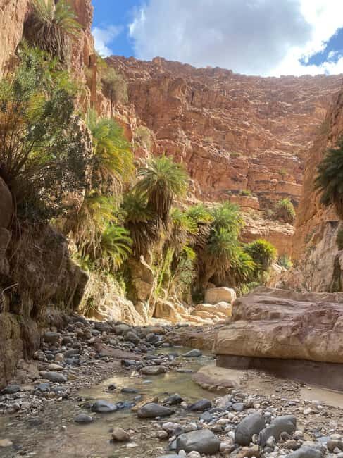 Wadi Ghuweir Full-Day Hike with Local Guide & Lunch. - The Trail Itself: What to Expect