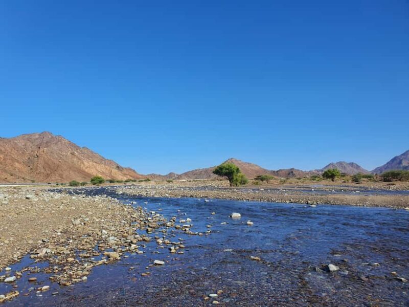 Wadi Indam: UTV Adventure with Expert DriverShort - Wadi Indam: UTV Adventure with Expert Driver — A Detailed Review