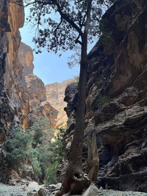Wadi Lajab Canyon Hiking Tour - A 4-Hour Trek Through Wadi Lajab