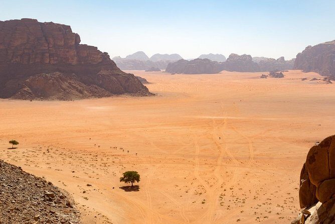 Wadi Rum: 4 Hour Highlights Tour - The Value of a Private Tour