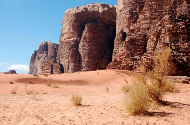 Wadi Rum: 4x4 Full day Tour with Bedouin Guide and Sunset - Sandboarding and Other Activities