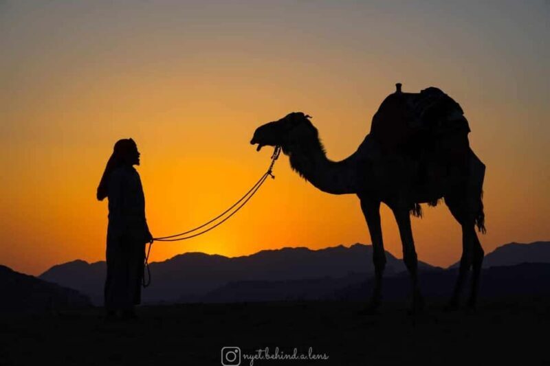 Wadi Rum: Camel Ride with tea and Bedouin Guide - Key Points