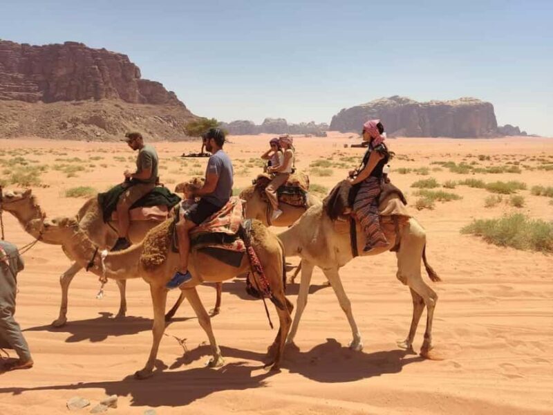 Wadi Rum: Camel Ride with tea and Bedouin Guide - Value and Who This Tour Is Best For