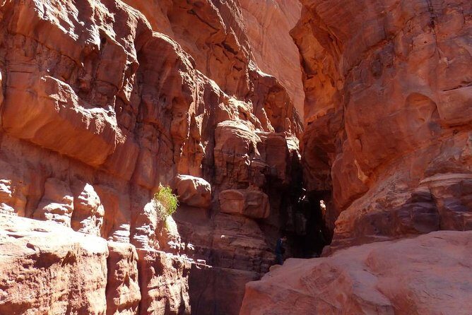 Wadi Rum: Camel Trek Adventure - Frequently Asked Questions
