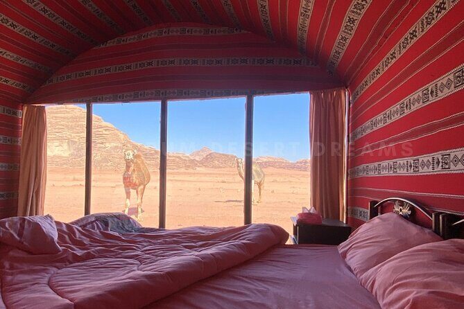 Wadi Rum Full Day Jeep Tour + Overnight & Dinner in Bedouin Camp - Practical Details and What to Know
