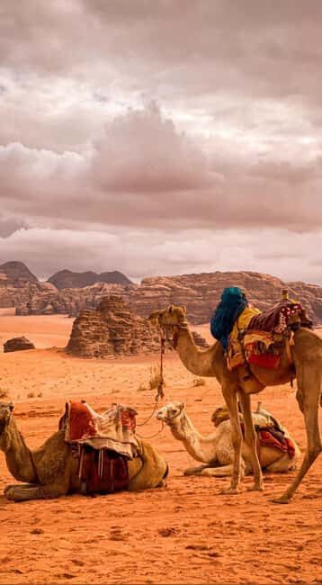 Wadi Rum: Full-Day Jeep Tour with Bedouin Dinner and Cave - Key Points