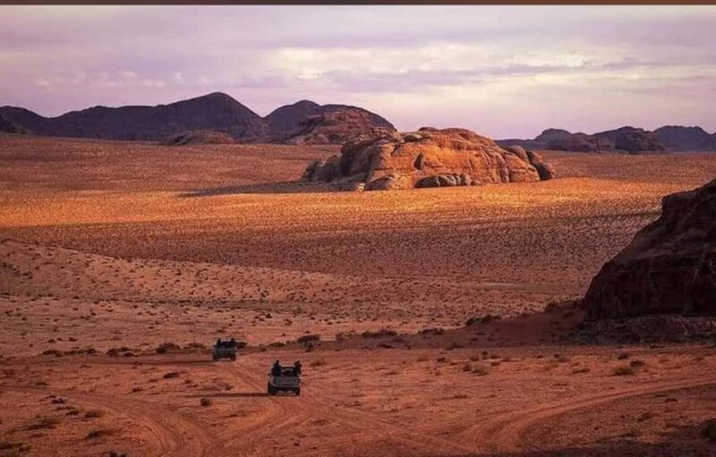 Wadi Rum: Full-Day Jeep Tour with Lunch - Who Should Consider This Tour?