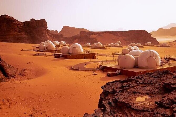 Wadi Rum Full-Day Private Tour from Amman or Airport - What Travelers Say