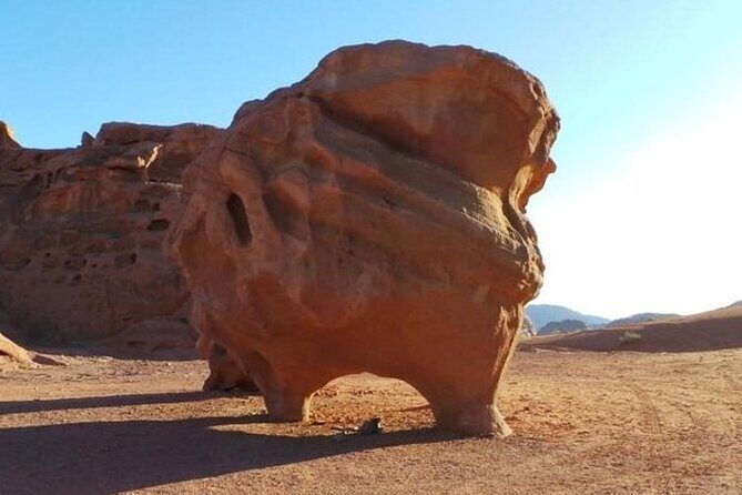 Wadi Rum Full-Day Private Tour from Amman or Airport - Who Should Book This Tour?
