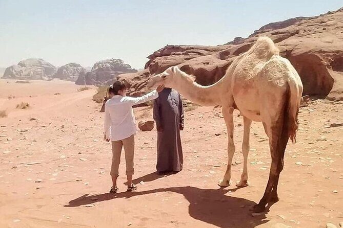Wadi Rum Full-Day Private Tour from Amman or Airport - The Sum Up