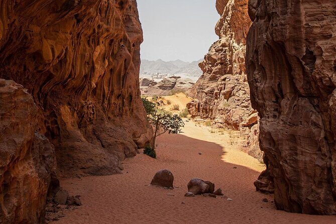 Wadi Rum Half-Day Desert Tour | Wadi Rum Desert - Final Thoughts: Who Should Book This Tour?