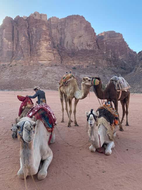 Wadi Rum: jeep tour, bed, breakfast and dinner - Final Thoughts