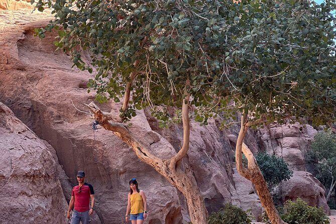 Wadi Rum Short Tours - Summary: Is It Worth It?