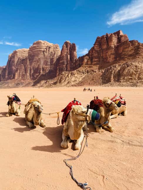 Wadi Rum: Tour Ticket w/ Guide, Meal & Stay - The Experience: An In-Depth Look at Wadi Rums Guided Tour