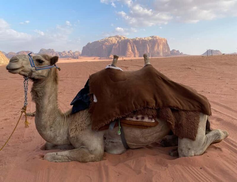 Wadi Rum: Tour Ticket w/ Guide, Meal & Stay - What’s Included — And What to Keep in Mind