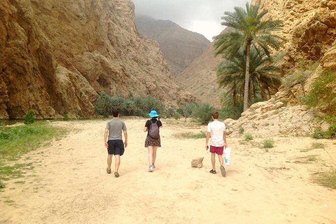 Wadi Shab and Bimmah Sinkhole 4X4 (Private Tour ) - Who Should Consider This Tour?