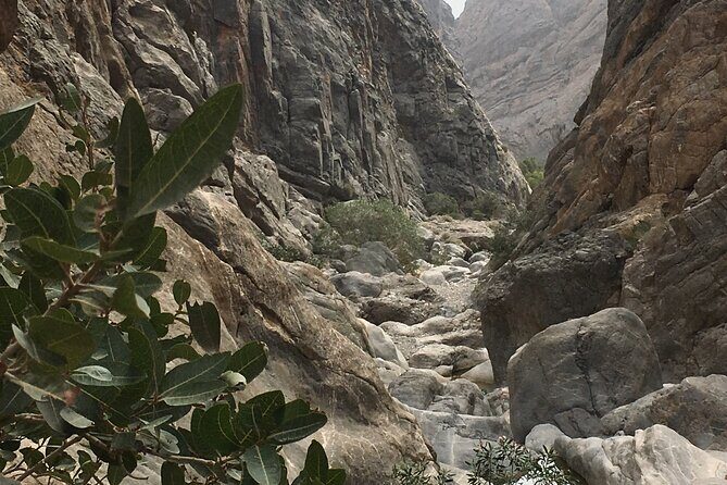 Wadi Shab and Bimmah Sinkhole Full Day Tour - The Value of the Tour