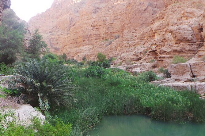 Wadi Shab Expedition - Who Should Consider This Tour?