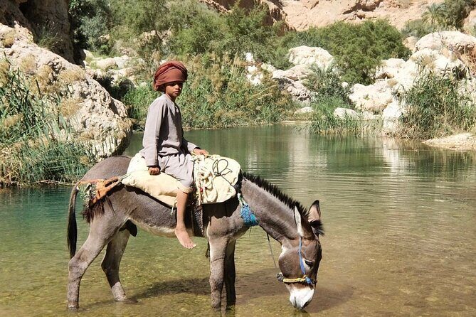 WADI SHAB - Muscat, Oman - Who Is This Tour Best For?