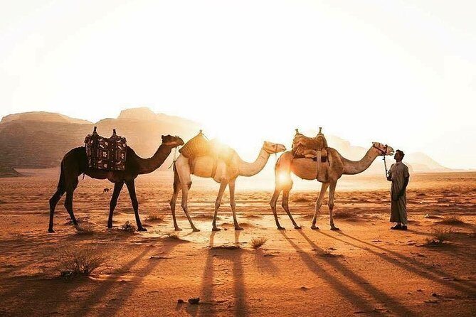WadiRum & Petra Tour 02 Days / 01 Night From Eilat border - The Sum Up
