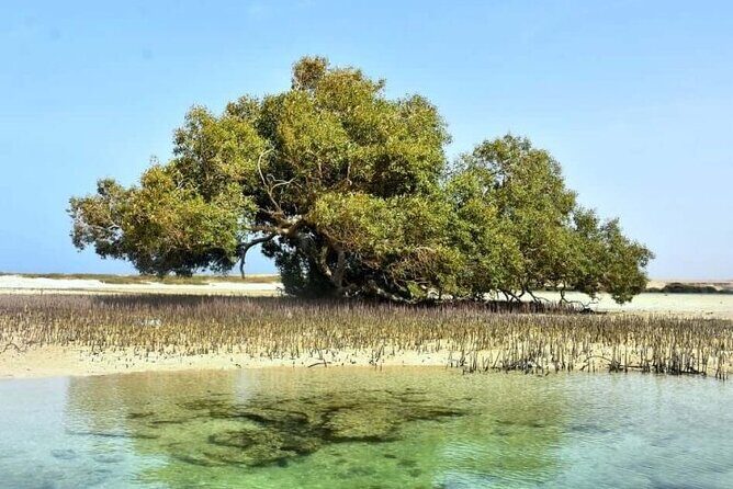 Wady Elgemal National Park Marsa alam - Key Points