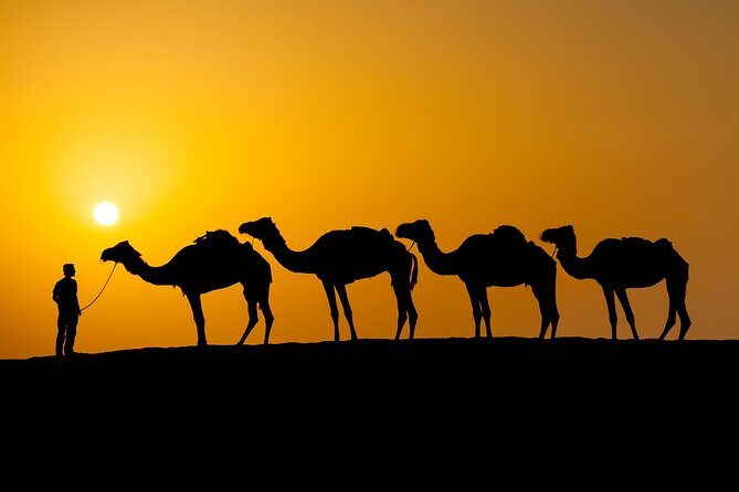 Wahiba Sand & Wadi merci khaled - An In-Depth Look at the Tour Experience