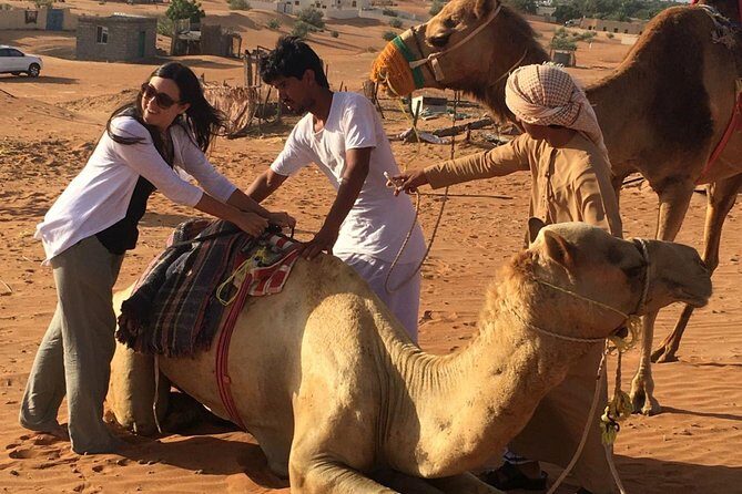 Wahiba Sands and Desert Safari from Muscat - An In-Depth Look at the Tour Experience