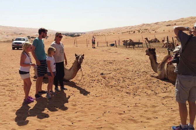 Wahiba Sands Desert Safari 4X4 - Exploring the Itinerary: What to Expect