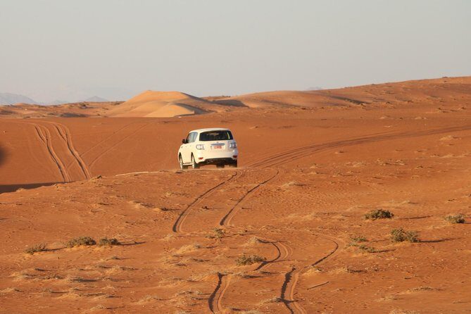 Wahiba Sands Safari with Wadi swimming and Camelride - Who Is This Tour Best For?