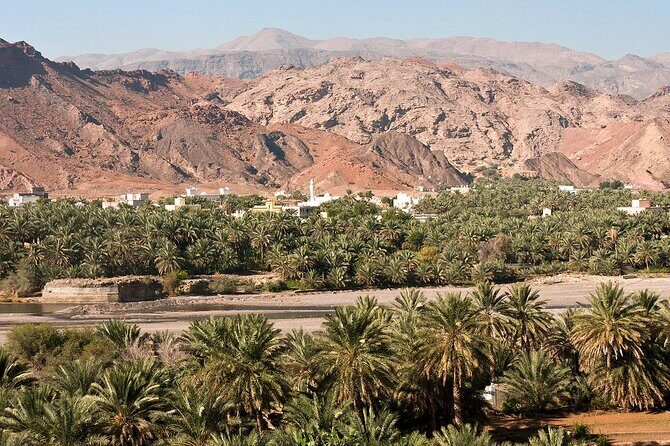 Wahiba Sands Tour - Final Thoughts