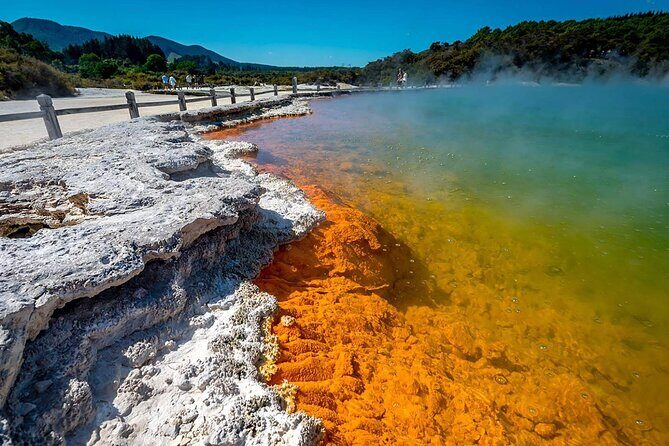 Wai-O-Tapu to Redwoods and Secret Spot Private Tour from Auckland - Introduction