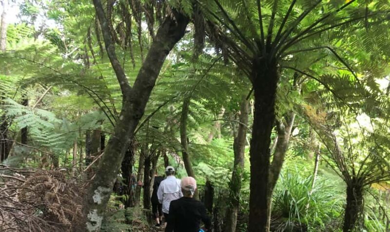 Waiheke Island: 5-Day Self-Guided Te Ara Hura Walk - Exploring Waiheke Island: An Impressive Coastal Trek