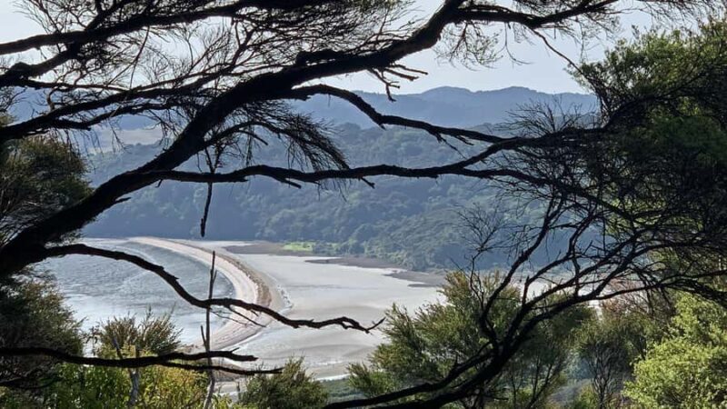 Waiheke Island: 5-Day Self-Guided Te Ara Hura Walk - The Accommodation: Beachfront Luxury at Onetangi