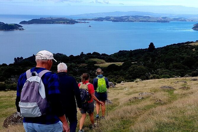 Waiheke Island 5 Day Self Guided Walking Adventure - Introduction