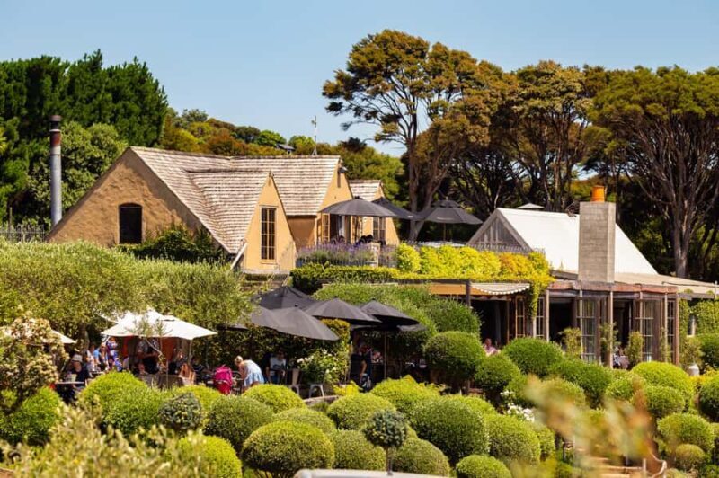 Waiheke Island: Afternoon Wine Tour with Oceanfront Lunch - Pricing and Value