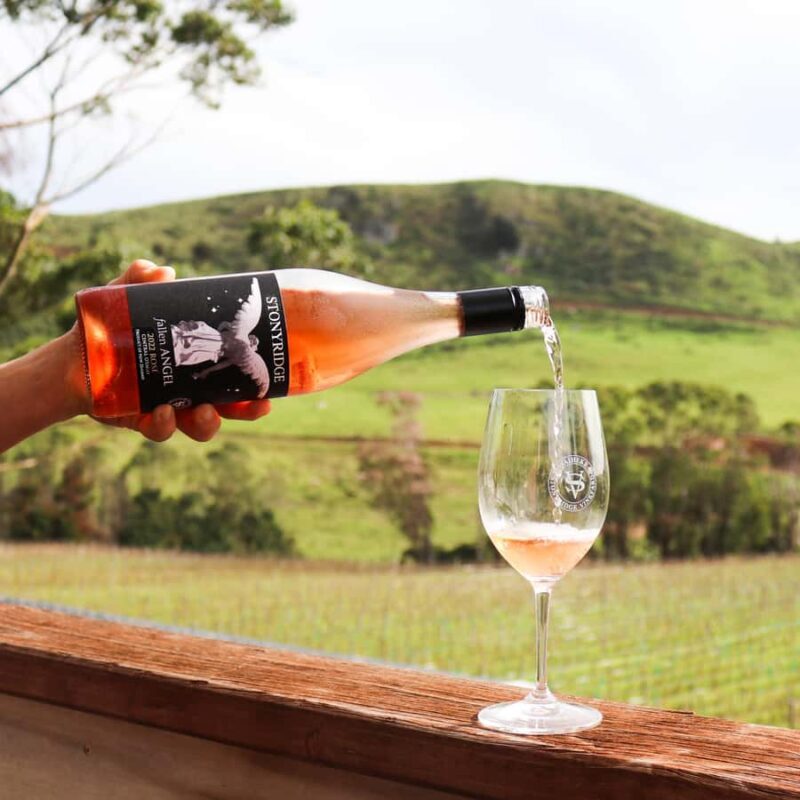 Waiheke Island: Afternoon Wine Tour with Oceanfront Lunch - Who Will Love This Tour?