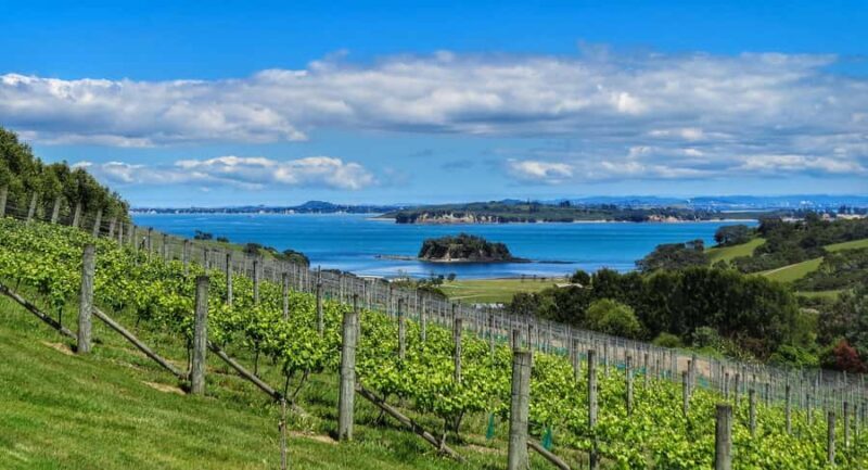 Waiheke Island: Afternoon Wine Tour with Oceanfront Lunch - Frequently Asked Questions (FAQs)