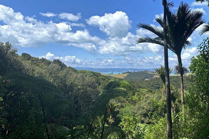 Waiheke Island Bush & Beach Walk - FAQ
