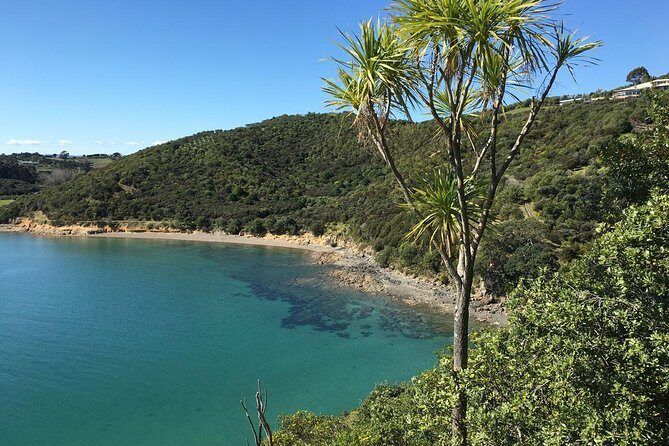 Waiheke Island Double Headland Coastal Walk - The Sum Up