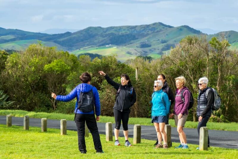 Waiheke Island: Double Headland Premium Guided Coastal Walk - A Walk in the Wilderness: An Overview