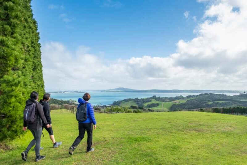 Waiheke Island: Double Headland Premium Guided Coastal Walk - Practical Details & What to Expect