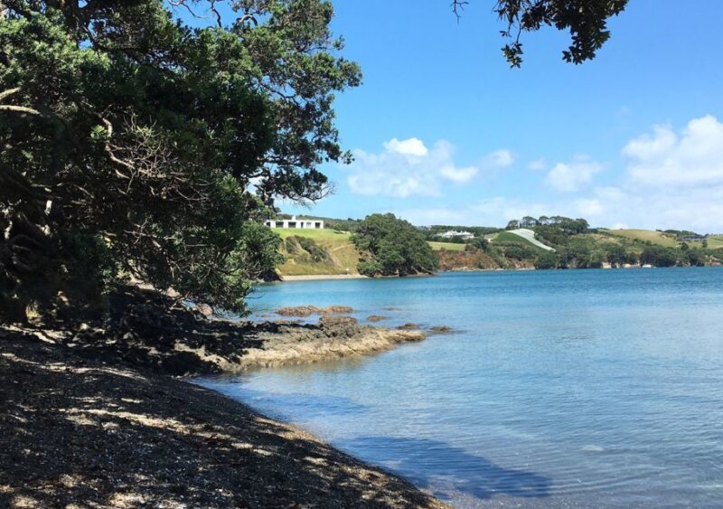 Waiheke Island: Double Headland Premium Guided Coastal Walk - Authentic Experiences & Reviews