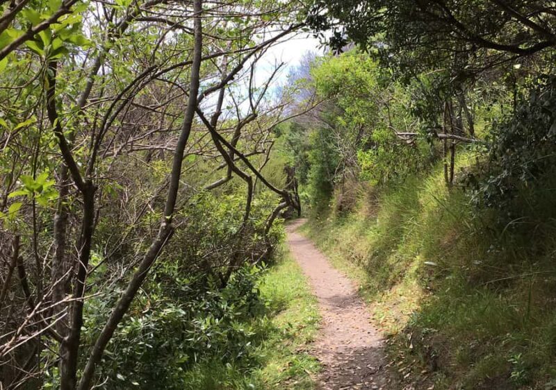 Waiheke Island: Double Headland Premium Guided Coastal Walk - Value and Who Will Love This Tour
