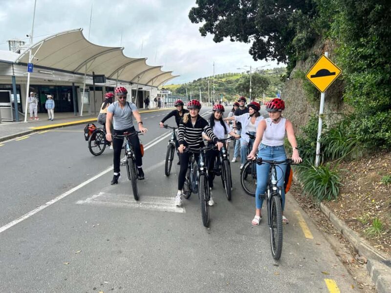 Waiheke Island: Electric Bike Rental - The Sum Up: Why Choose the Waiheke Electric Bike Experience?