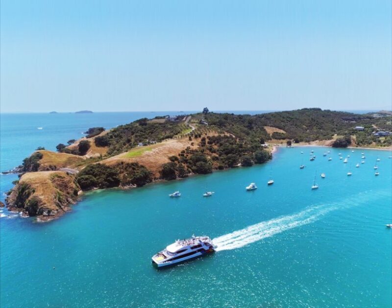 Waiheke Island: Ferry & Hop-On Hop-Off Explorer Bus Tickets - The Sum Up