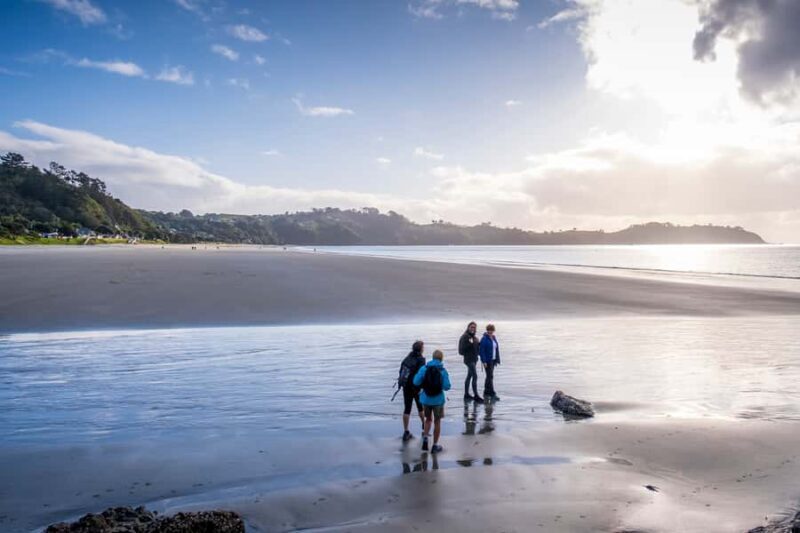 Waiheke Island: Forest and Beach Premium Guided Walk - A Taste of Waiheke’s Natural Charm
