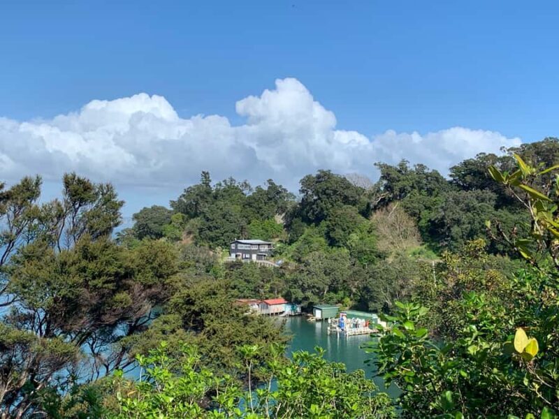 Waiheke Island: Forest and Beach Premium Guided Walk - Walking Through Waiheke’s Forests and Reserves