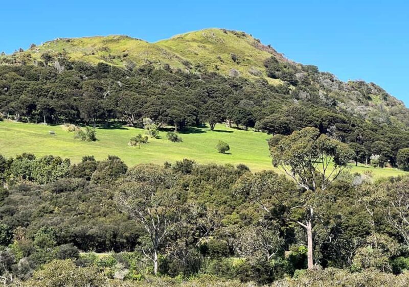 Waiheke Island: Full Day Guided History and Heritage Tour - FAQ