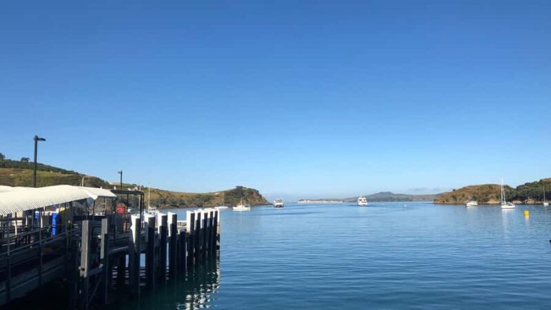 Waiheke Island Gourmet Food and Wine Tour with Lunch - A Practical Overview of the Waiheke Food and Wine Tour